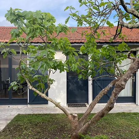 Дом отдыха Villa Le Figuier *